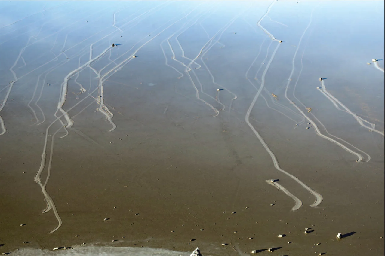Tracks left by moving stones on wet Racetrack Playa in December 2013