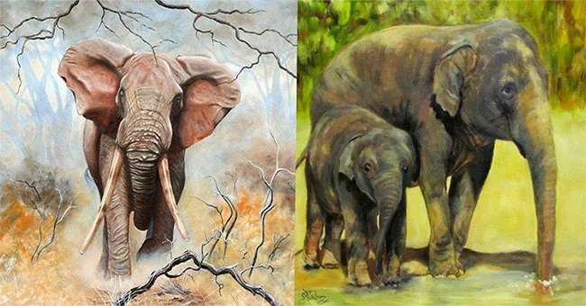 Side-by-side elephant images showing contrasting ear shapes